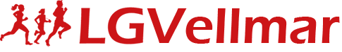 Logo LG Vellmar